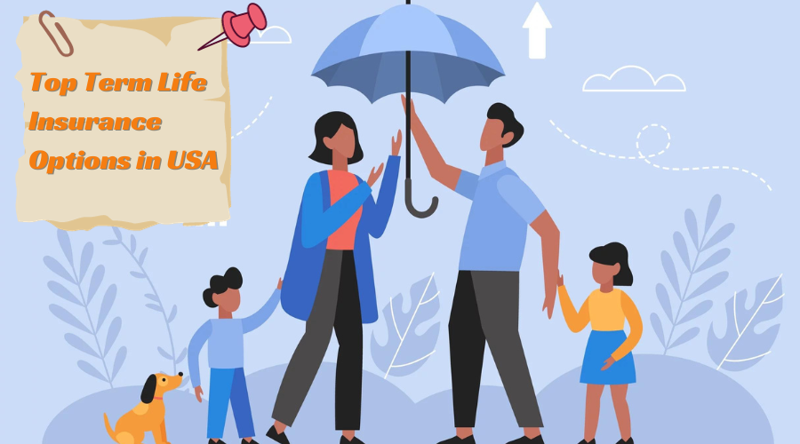 Term Life Insurance-Options in USA
